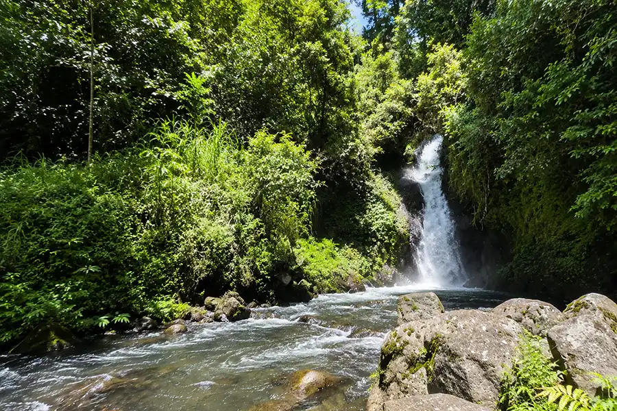 A gushing waterfall streaming over rocks into a shallow river surrounded by bright green trees and mossy boulders.