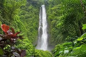 A female hiker wearing a backpack looking down at a tall, rushing waterfall surrounded by lush jungle leaves.