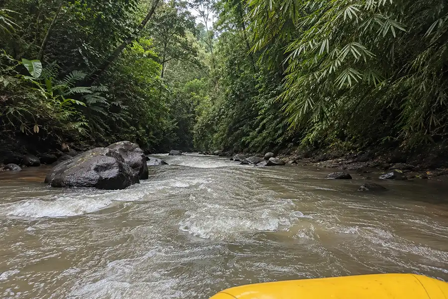 A first-person view from a yellow raft looking down a rocky river canyon lined with dense jungle trees.