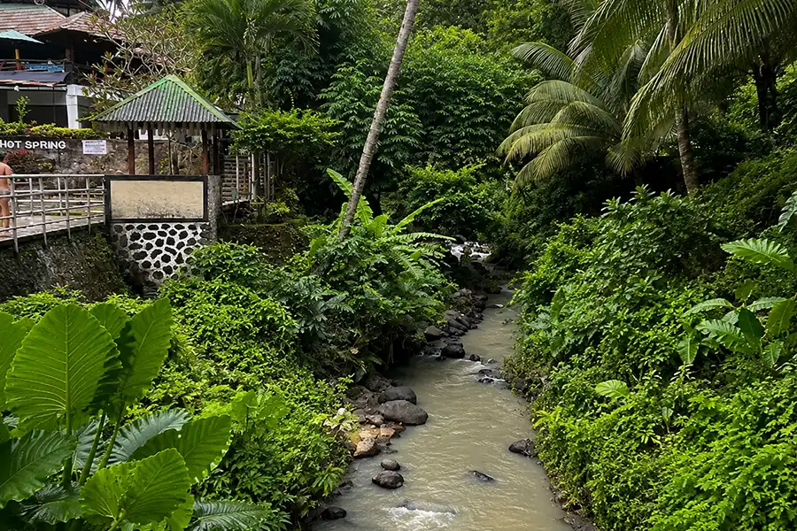 A gentle river flowing through a lush green jungle valley past stone embankments and palm trees.