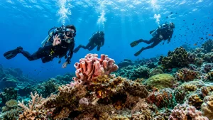 Scuba divers exploring a vibrant coral reef in the crystal-clear waters of Nusa Lembongan.