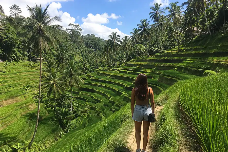 Tourist enjoying view of Tegalalang Rice Terraces in Bali featured in a day Bali itinerary.
