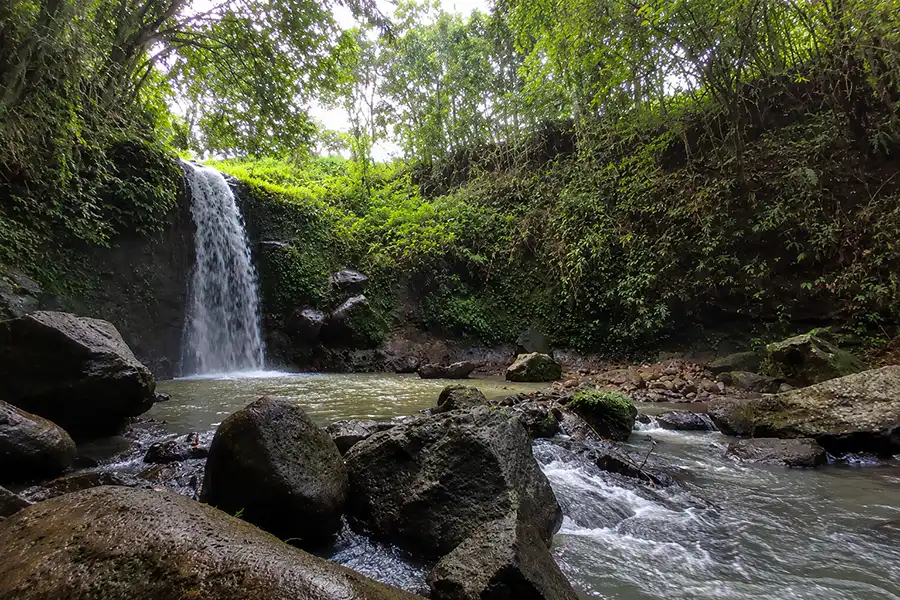 A tropical waterfall pouring into a river pool surrounded by mossy rocks and lush jungle trees.
