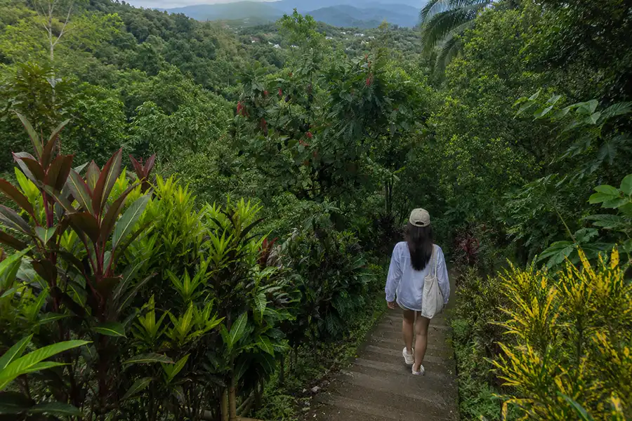 A woman in a white shirt and cap walking down concrete stairs bordered by colorful garden plants towards a valley.