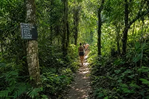 Hikers walking along a narrow dirt path through a dense green forest next to a wooden directional sign.
