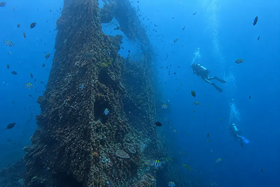 Scuba divers exploring a massive, coral-covered shipwreck wall underwater.