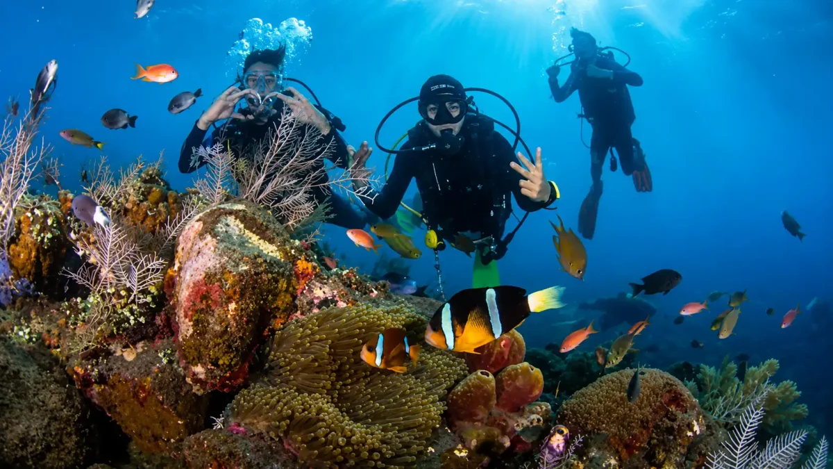 Scuba diver exploring the vibrant underwater world off the coast of Amed, Bali.
