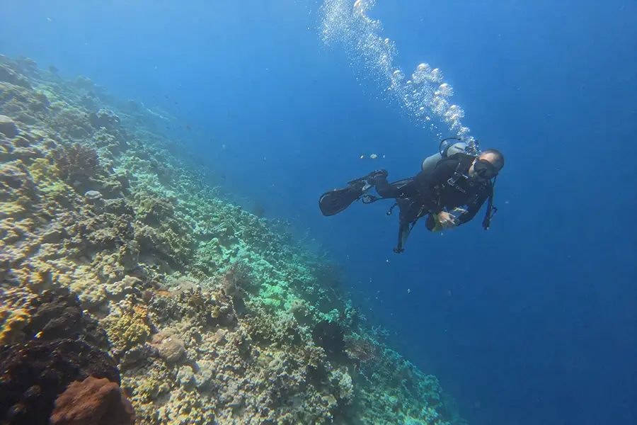 A single scuba diver hovering over a sloping coral reef in clear blue ocean water.