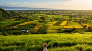 Scenic viewpoint at Bukit Belong featuring green rice terraces and mountain landscapes in Bali.