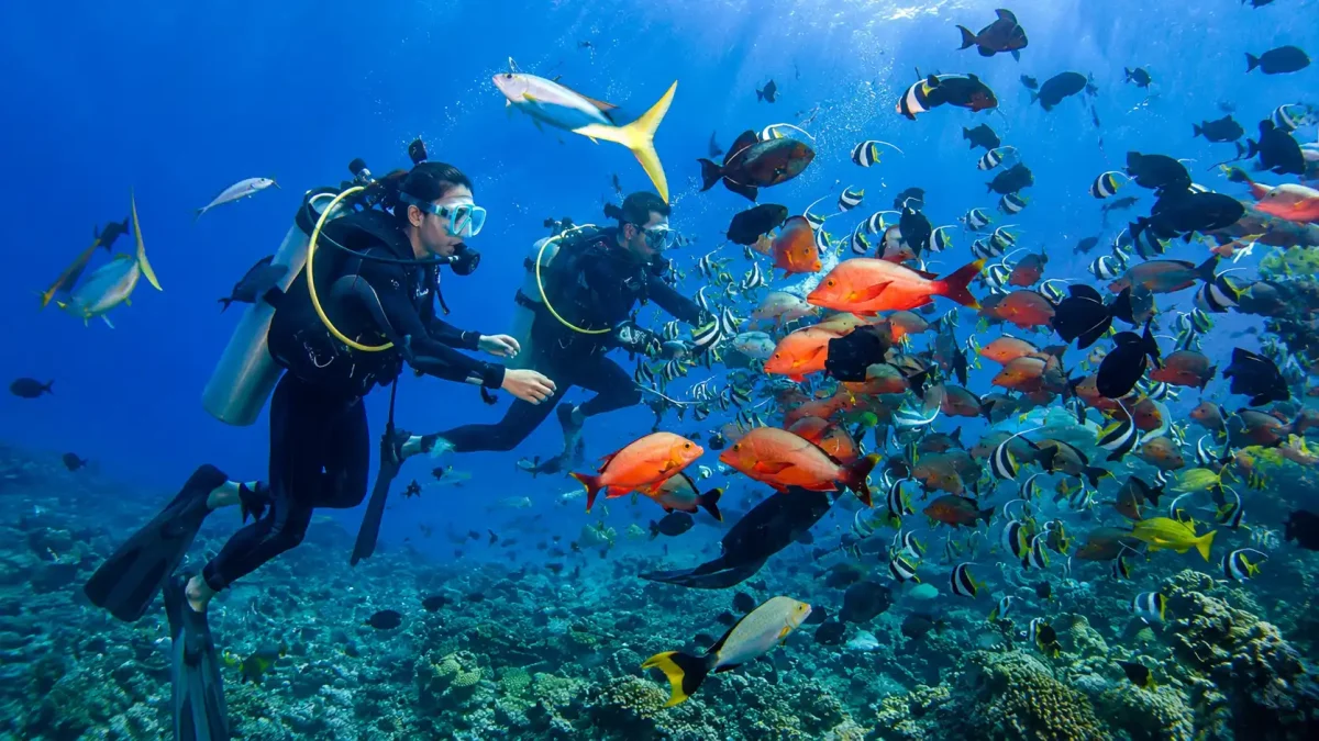 Scuba diver exploring vibrant coral reefs in the crystal-clear waters of diving Nusa Lembongan.