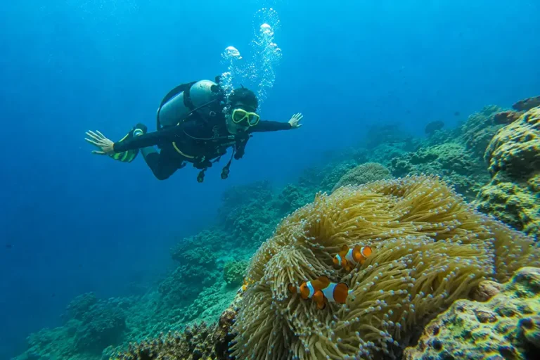 Best Diving Spots in Bali: A Complete Guide for Divers