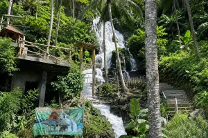A wide waterfall cascading down a rocky cliff surrounded by tall coconut palm trees.