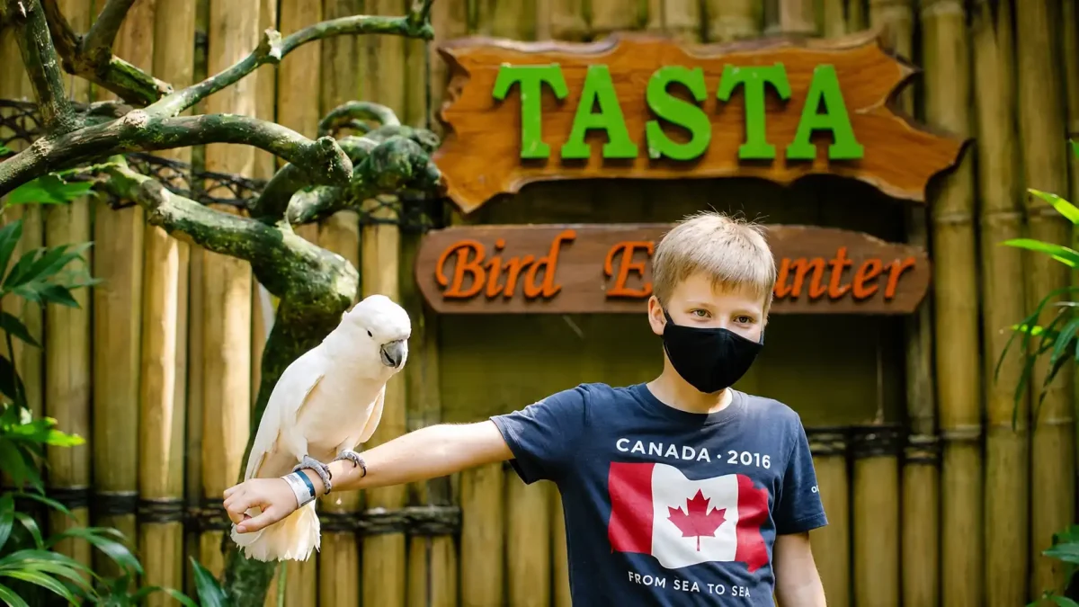 Young boy holding a white parrot during a wildlife encounter at Tasta Zoo in Bali.