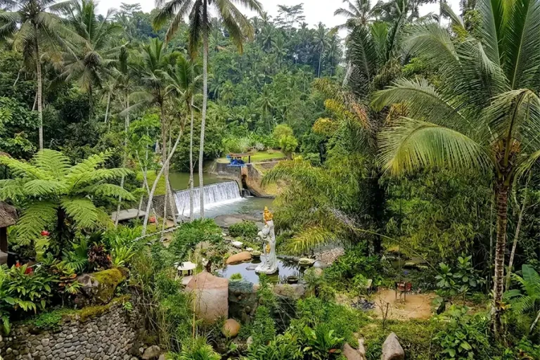 Bali Giant Swing: The Tallest Jungle Swing in Bali