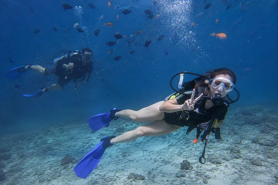 Scuba divers swimming underwater among tropical fish near a clear sandy seabed.
