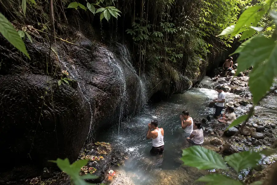 Devotees performing a holy purification ritual inside a river cave pool underneath a natural trickling waterfall at tirta tadah uwuk temple.