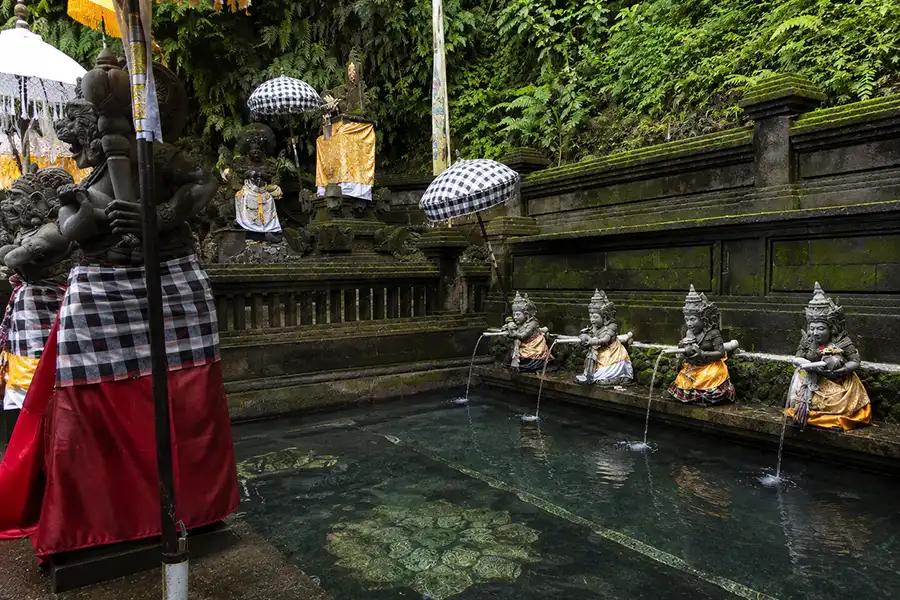 Four stone goddess statues pouring crystal-clear holy water into a stone purification pool surrounded by ceremonial banners at tirta tadah uwuk temple.