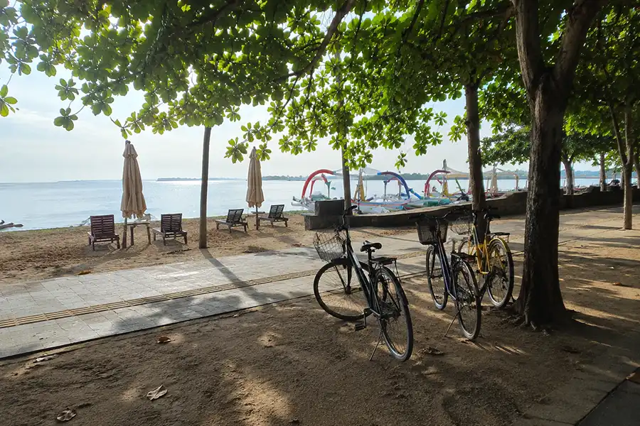 Parked bicycles with front baskets resting under shady trees along a beachfront path.