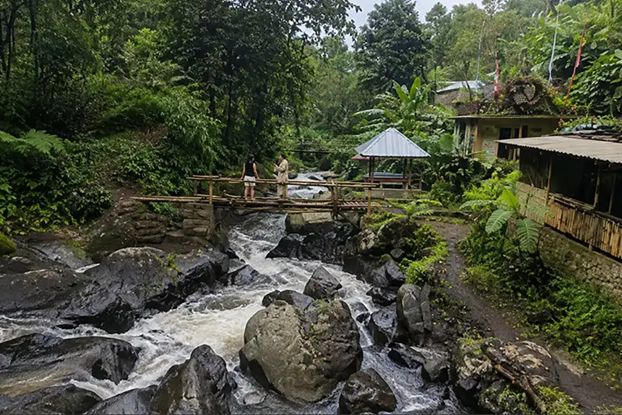 Two travelers standing on a rustic wooden bridge over a flowing river in a lush forest.