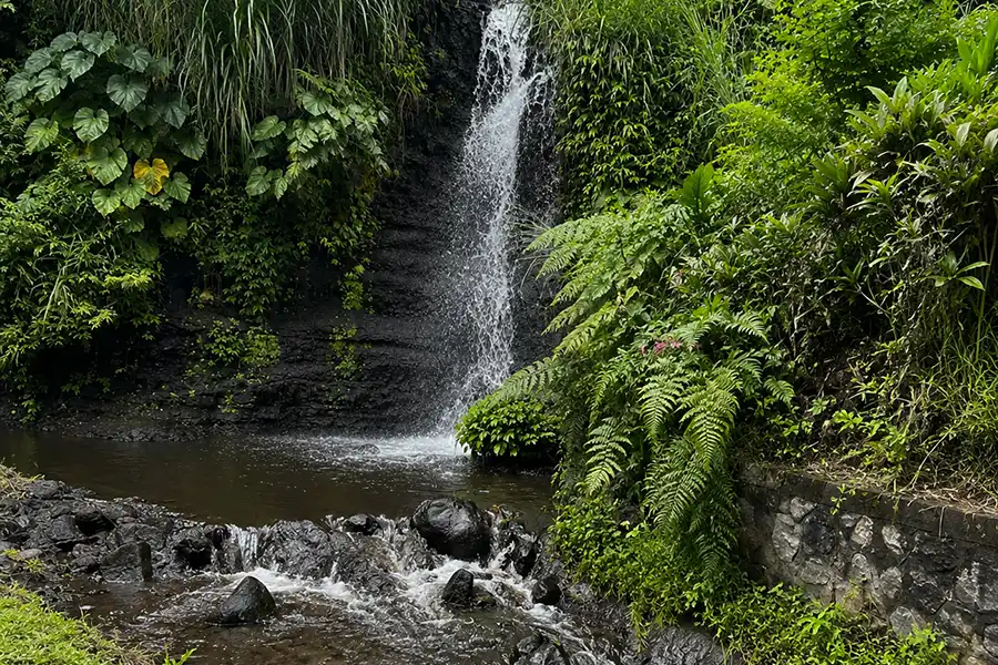 A small natural waterfall surrounded by greenery at Maha Gangga Valley.
