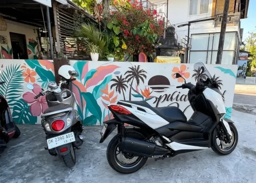 Rental scooters ready for riding from Padang Padang to Uluwatu.
