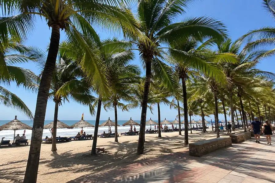 Tourists walking along a paved beachfront promenade lined with tall palm trees and sun loungers.