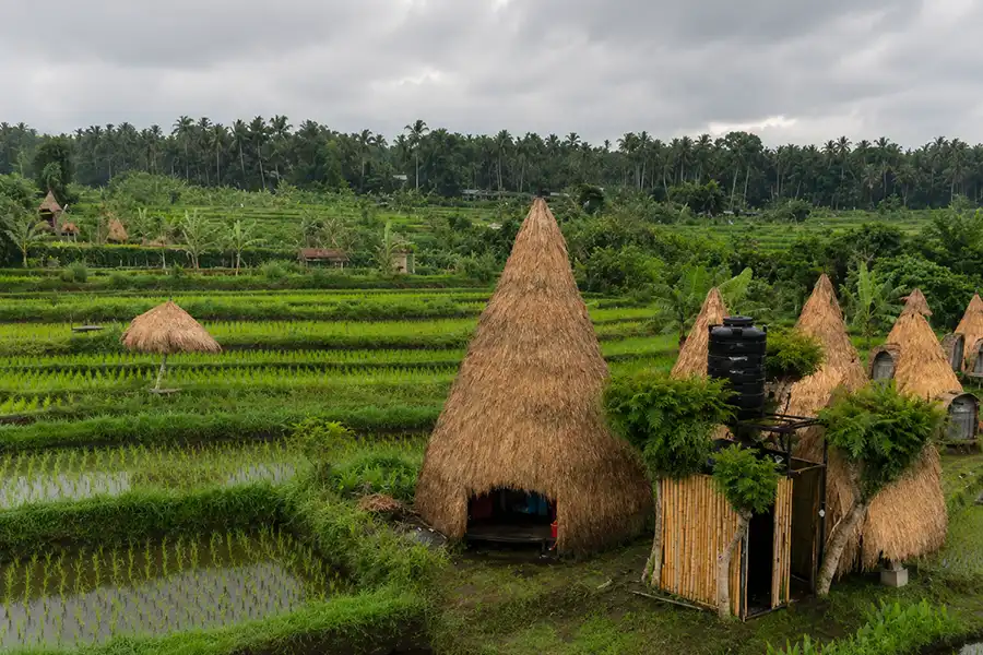 Unique thatched huts located right next to green rice terraces in Maha Gangga Valley.