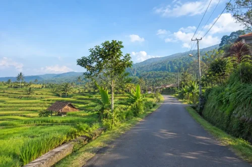Village road through rice fields on a Bali airport to Sidemen transfer.