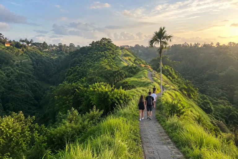 Campuhan Ridge Walk: Best Scenic Hiking Trail in Ubud